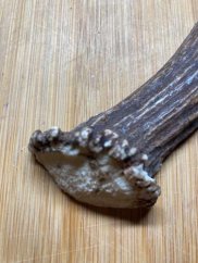 JELENÍ PARŮŽEK PRO PSY půlený 13,5cm
