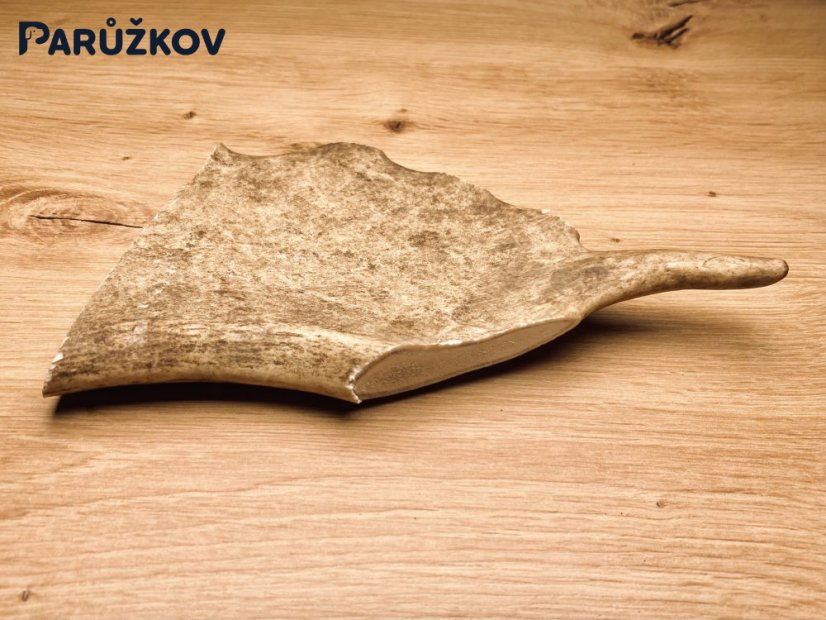DANČÍ PAROHY (20 cm)