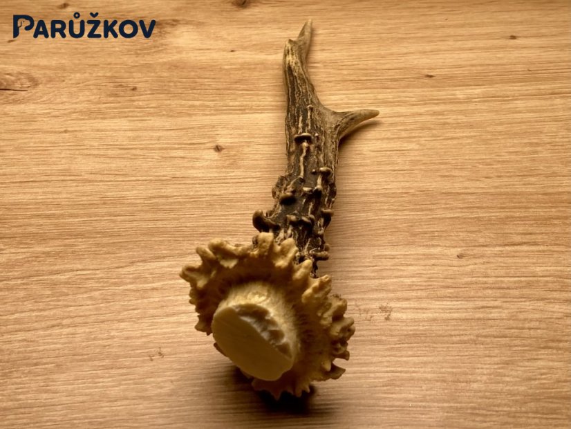 SRNČÍ PAROHY (20 cm)