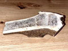 JELENÍ PAROHY - Půlený (15 cm)