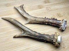 SRNČÍ PAROHY - Duo (17 cm)