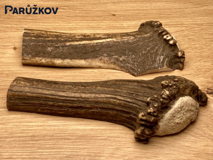 JELENÍ PAROHY - Duo - půlené (14 cm)