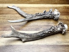 SRNČÍ PAROHY - Duo (18 cm)