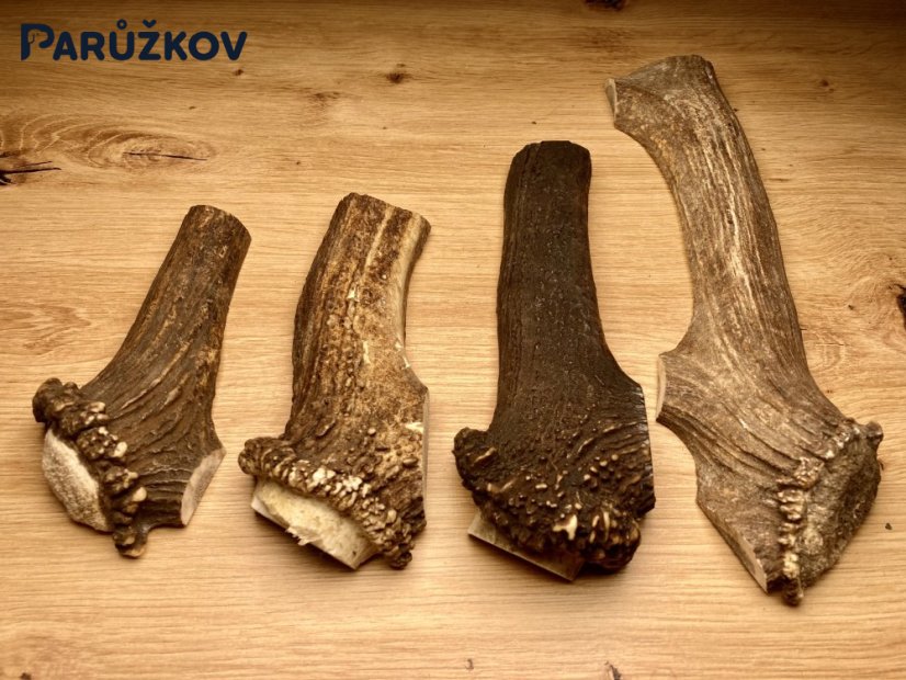 JELENÍ PAROHY - Různé druhy - Velikost: S (40 - 80 g), Typ: Půlený