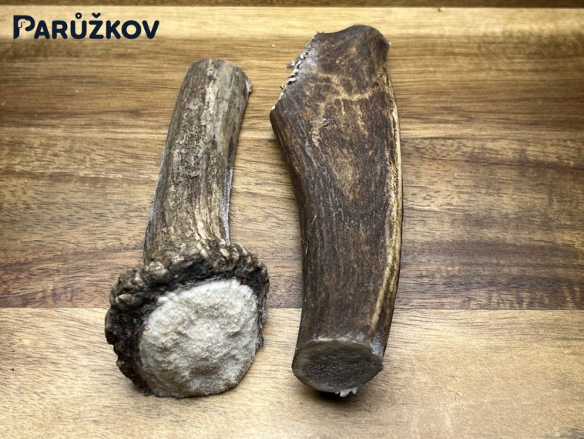 DANČÍ PAROHY - Duo (13 cm)