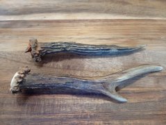 SRNČÍ PARŮŽEK PRO PSY - 17 cm - DUO