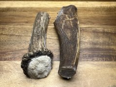 DANČÍ PAROHY - Duo (13 cm)