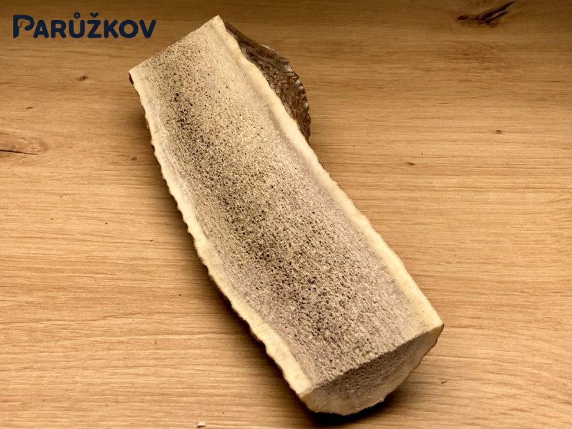 JELENÍ PAROHY - Půlený (19 cm)