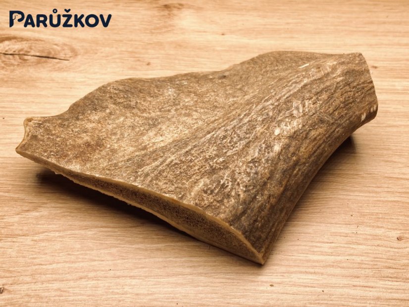 DANČÍ PAROHY (15 cm)