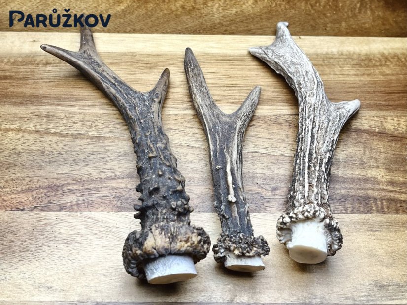 SRNČÍ PAROHY - Trio (18 cm)