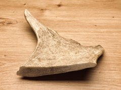 DANČÍ PAROHY (17 cm)