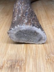 JELENÍ PARŮŽEK PRO PSY ROH 30,4cm