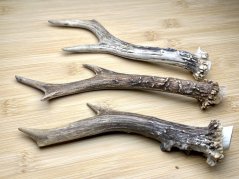 SRNČÍ PAROHY - Trio (21 cm)