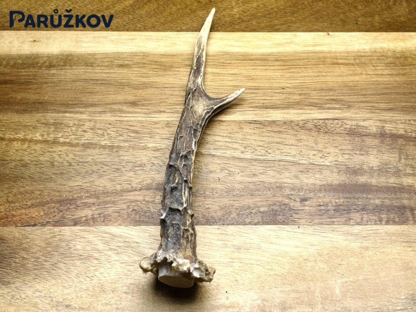 SRNČÍ PAROHY (18 cm)