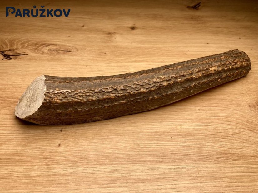 JELENÍ PAROHY - Půlený (27 cm)
