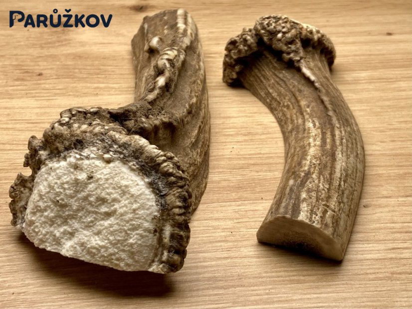 DANČÍ PAROHY - Duo - půlené (16 cm)