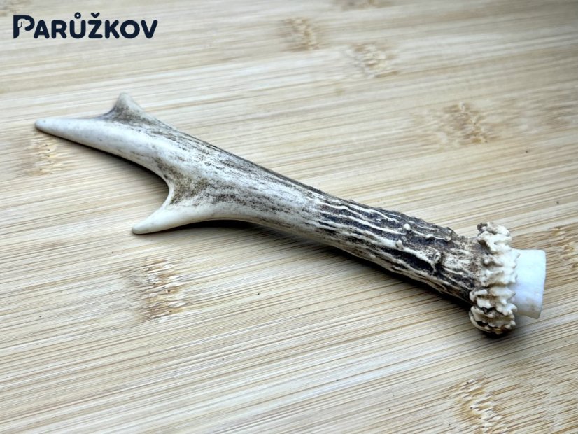 SRNČÍ PAROHY (16 cm)