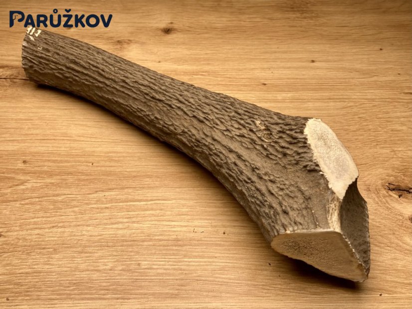 JELENÍ PAROHY (25 cm)