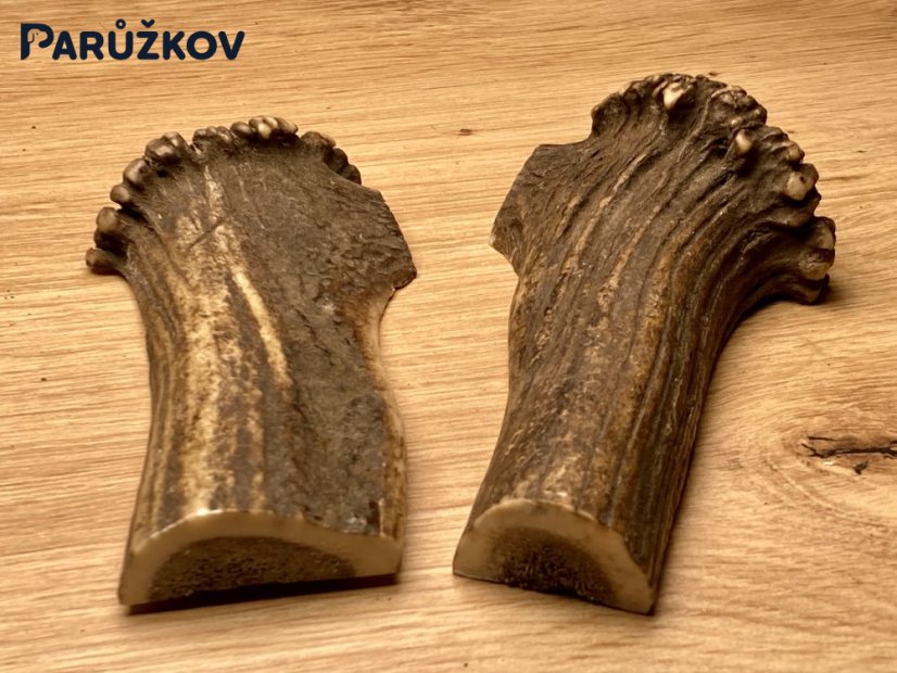 JELENÍ PAROHY - Duo - půlené (14 cm)