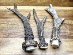 SRNČÍ PAROHY - Trio (18 cm)