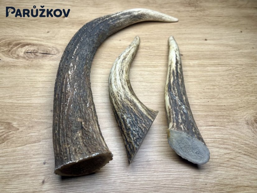 JELENÍ PAROHY - Trio - rohy (26 cm)
