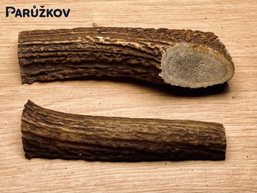 JELENÍ PAROHY - Duo - půlené (11 cm)