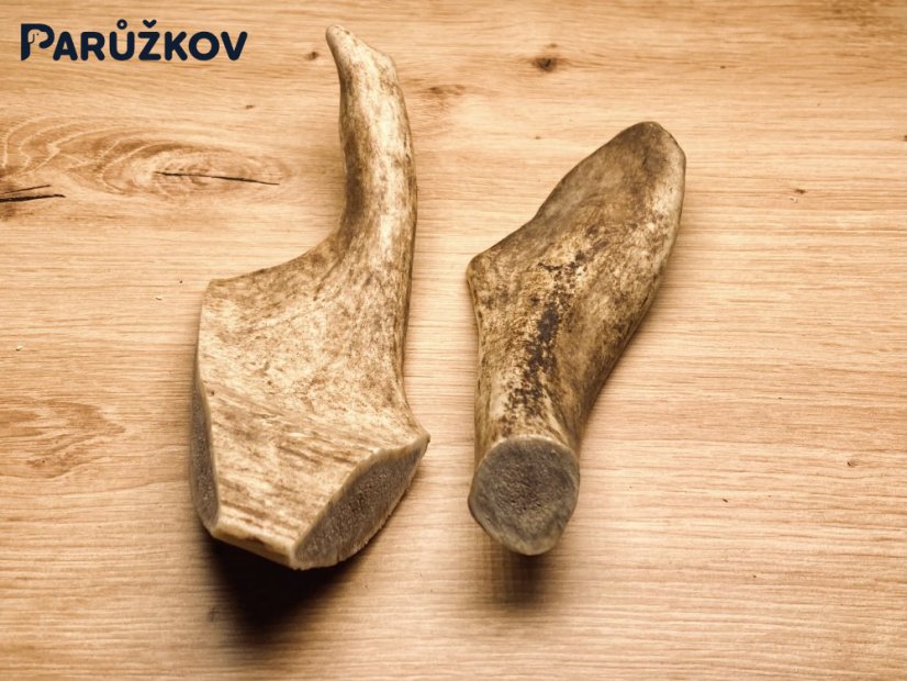 DANČÍ PAROHY - Duo (18 cm)