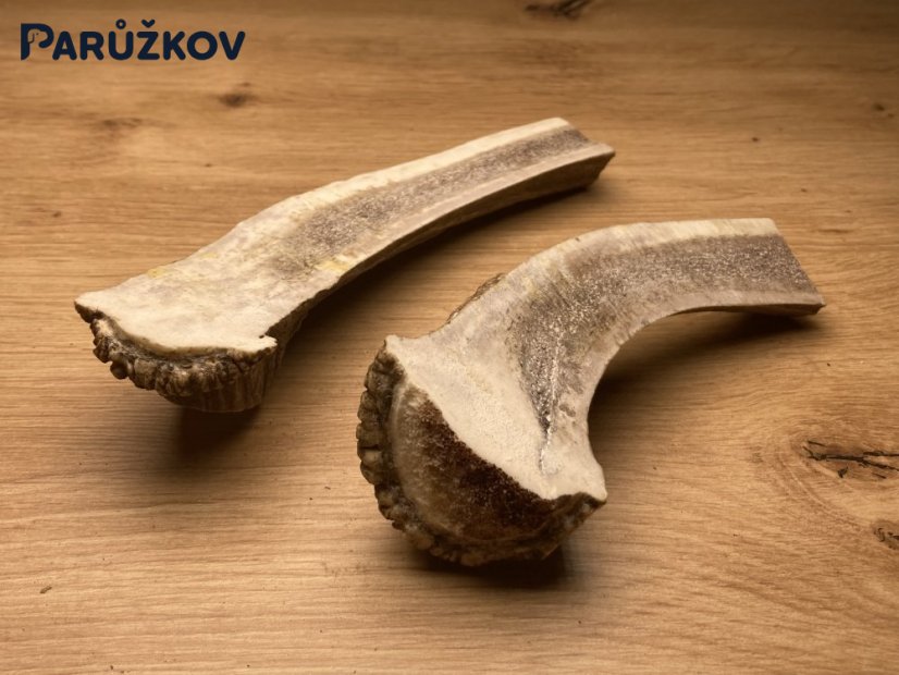DANČÍ PAROHY - Duo (17 cm)