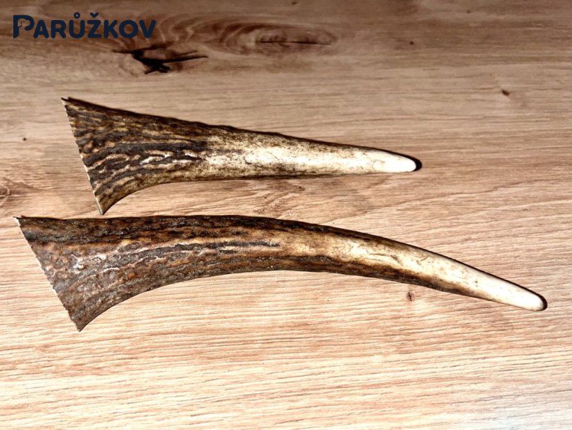 JELENÍ PAROHY - Duo - rohy (16 cm)