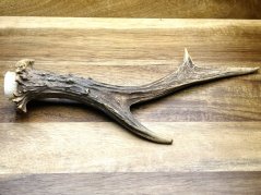 SRNČÍ PAROHY (22 cm)