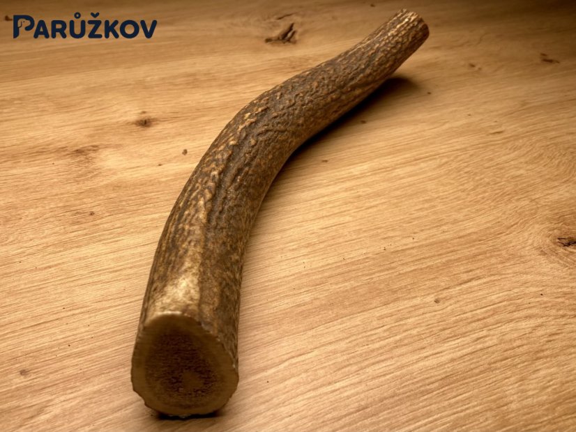 JELENÍ PAROHY (29 cm)