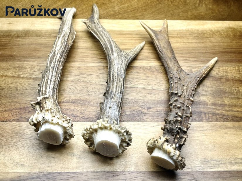 SRNČÍ PAROHY - Trio (19 cm)