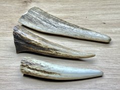 JELENÍ PAROHY - Trio - rohy (11 cm)