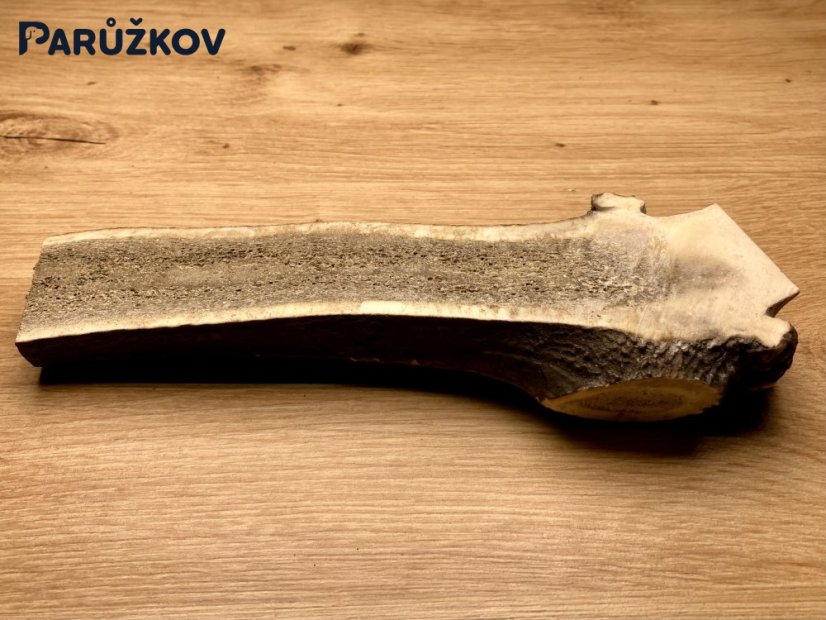 JELENÍ PAROHY - Půlený (19 cm)