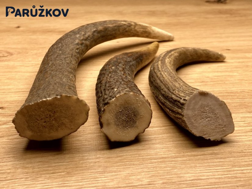 JELENÍ PAROHY - Trio - rohy (17 cm)