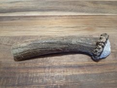 JELENÍ PARŮŽEK PRO PSY - 14 cm - PŮLENÝ