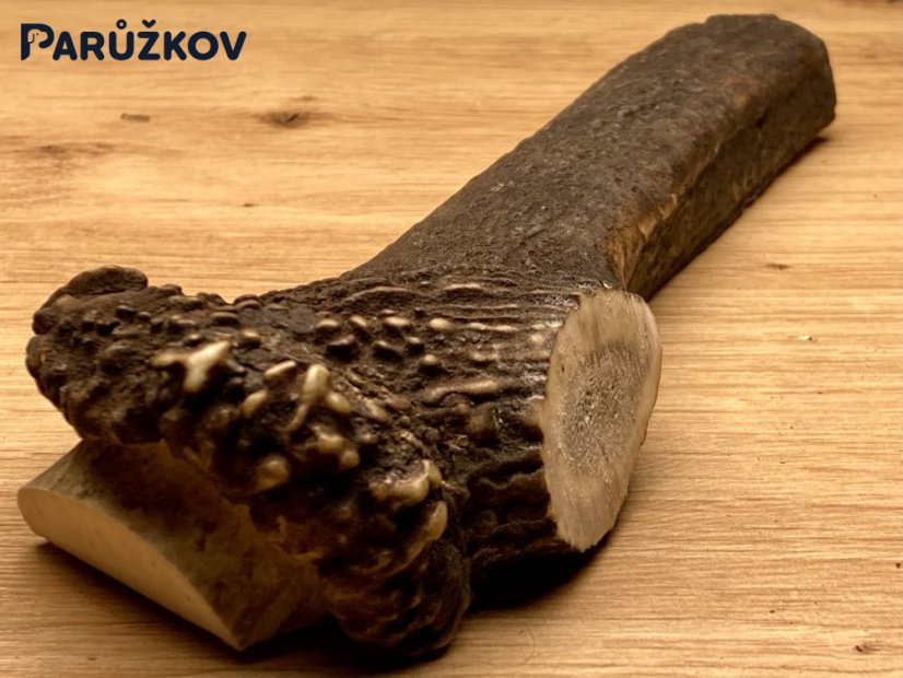 JELENÍ PAROHY - Půlený (19 cm)