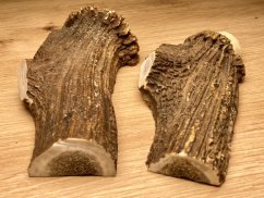 JELENÍ PAROHY - Duo - půlené (15 cm)