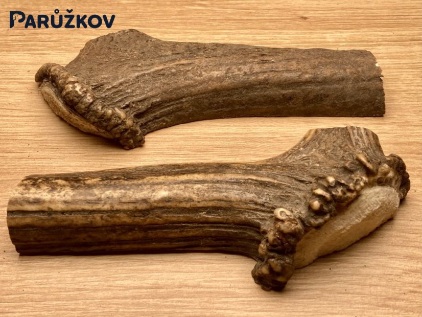 JELENÍ PAROHY - Duo - půlené (13 cm)