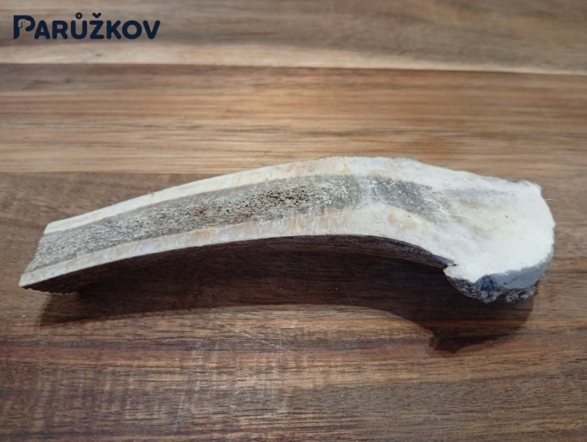 JELENÍ PARŮŽEK PRO PSY - 14 cm - PŮLENÝ