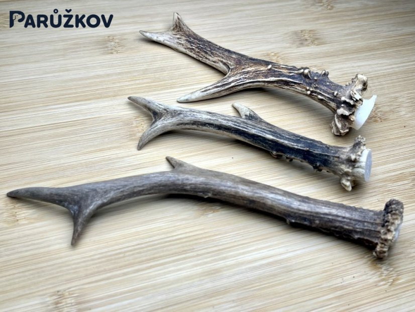 SRNČÍ PAROHY - Trio (19 cm)