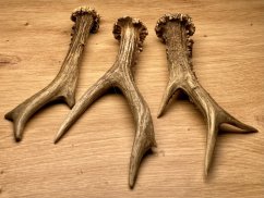 SRNČÍ PAROHY - Trio (18 cm)