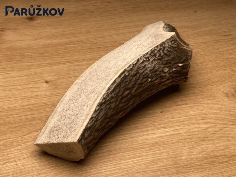 JELENÍ PAROHY - Půlený (19 cm)