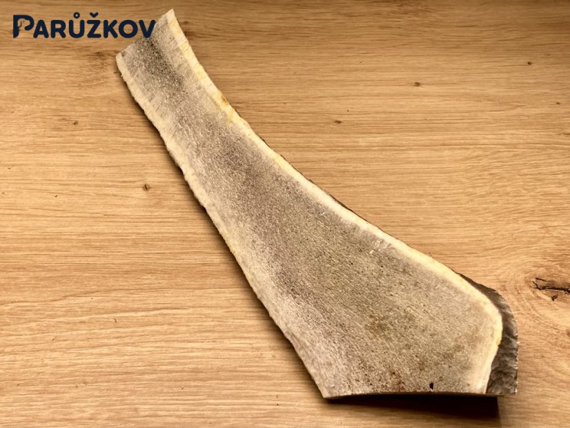 JELENÍ PAROHY - Půlený (23 cm)