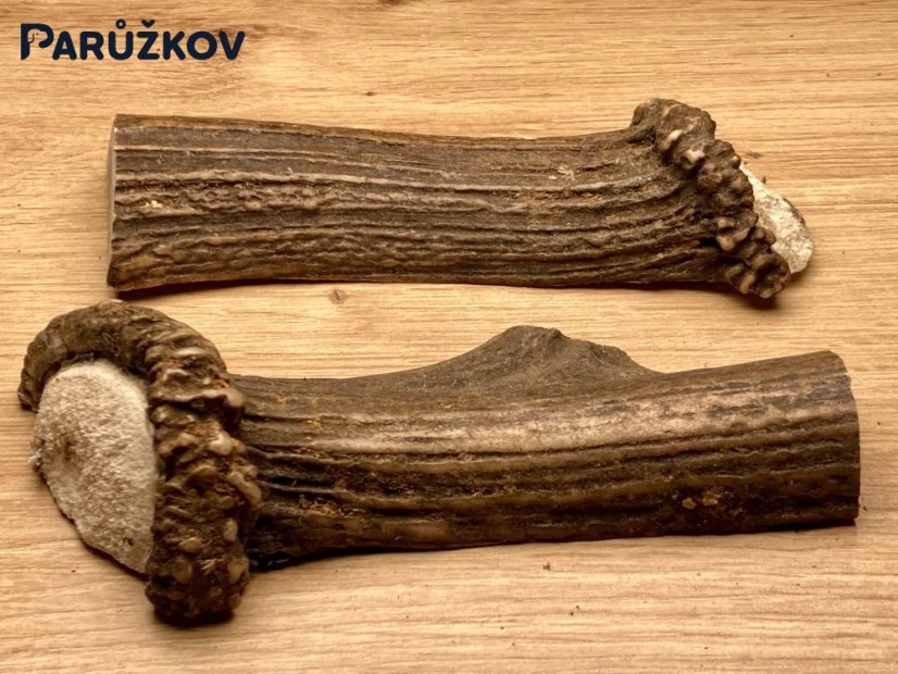 JELENÍ PAROHY - Duo - půlené (14 cm)