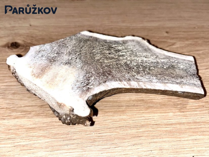 JELENÍ PAROHY - Půlený (14,5 cm)