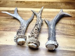 SRNČÍ PAROHY - Trio (17,5 cm)
