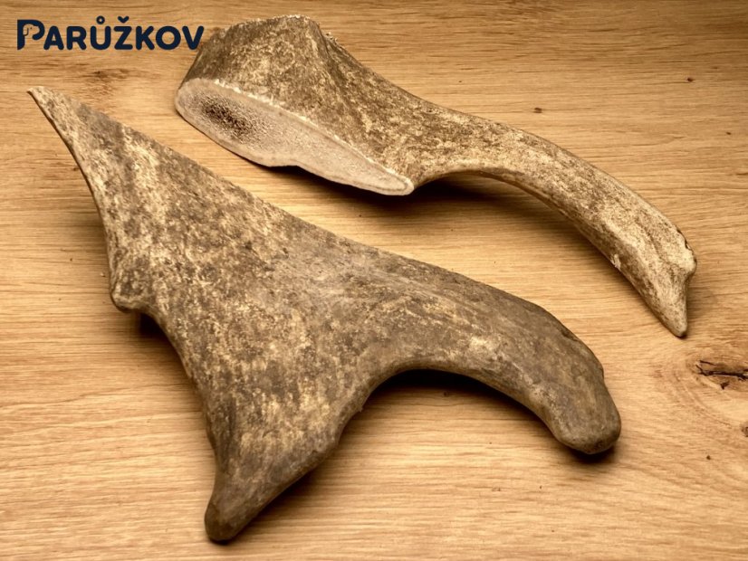 DANČÍ PAROHY - Duo (19 cm)