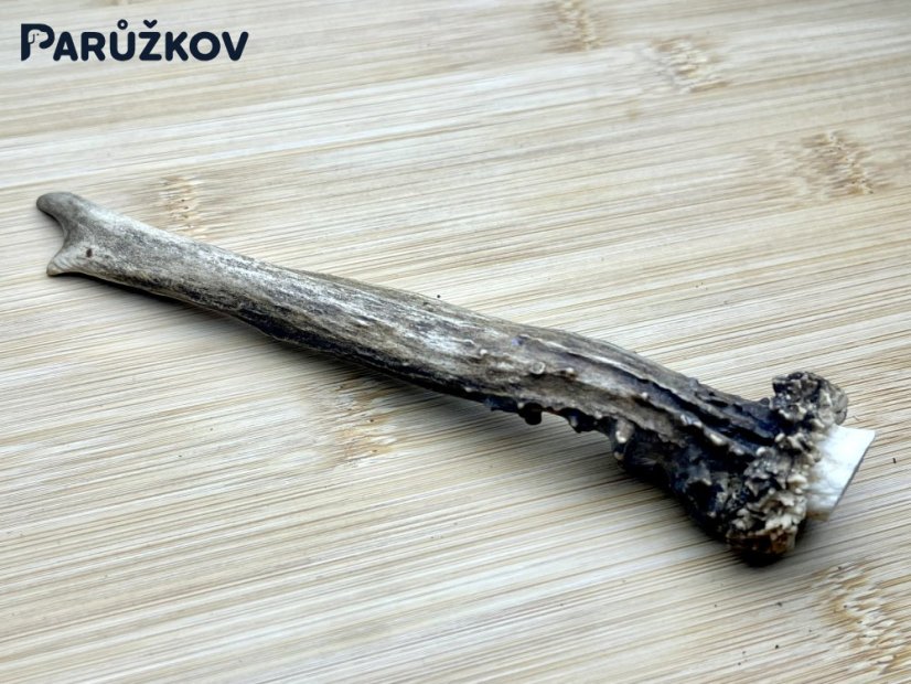 SRNČÍ PAROHY (16 cm)