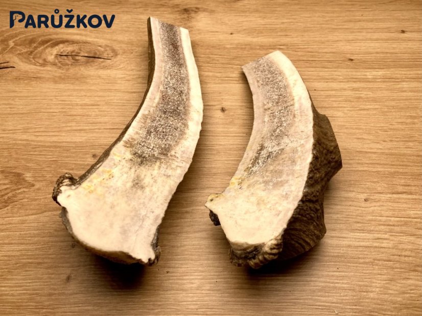 DANČÍ PAROHY - Duo - půlené (17 cm)